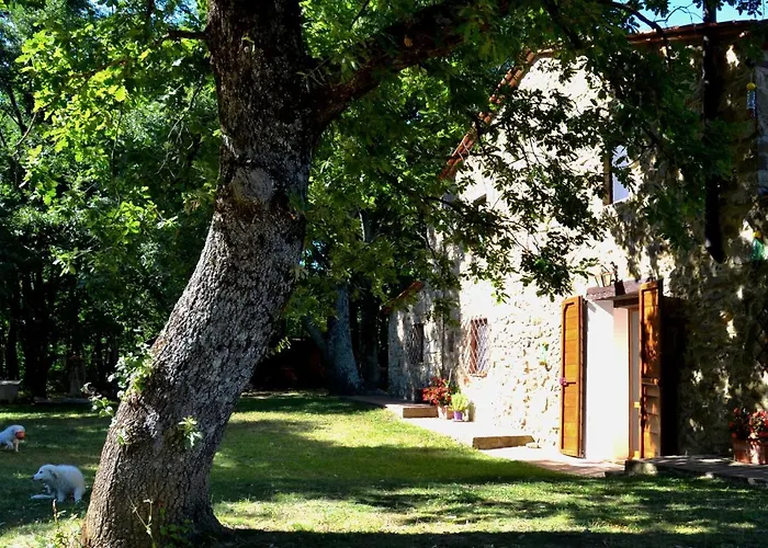 Il Venaio 3*