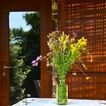 Bed & Breakfast Il Venaio 3*