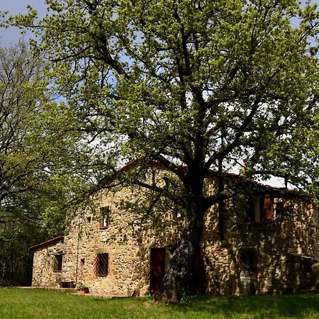 Bed and Breakfast Il Venaio