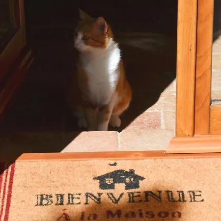 Il Venaio
