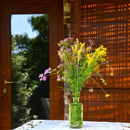 Bed and Breakfast Il Venaio 3*